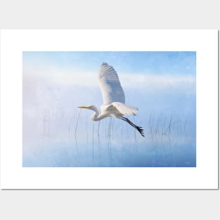 Snowy Egret Morning Posters and Art